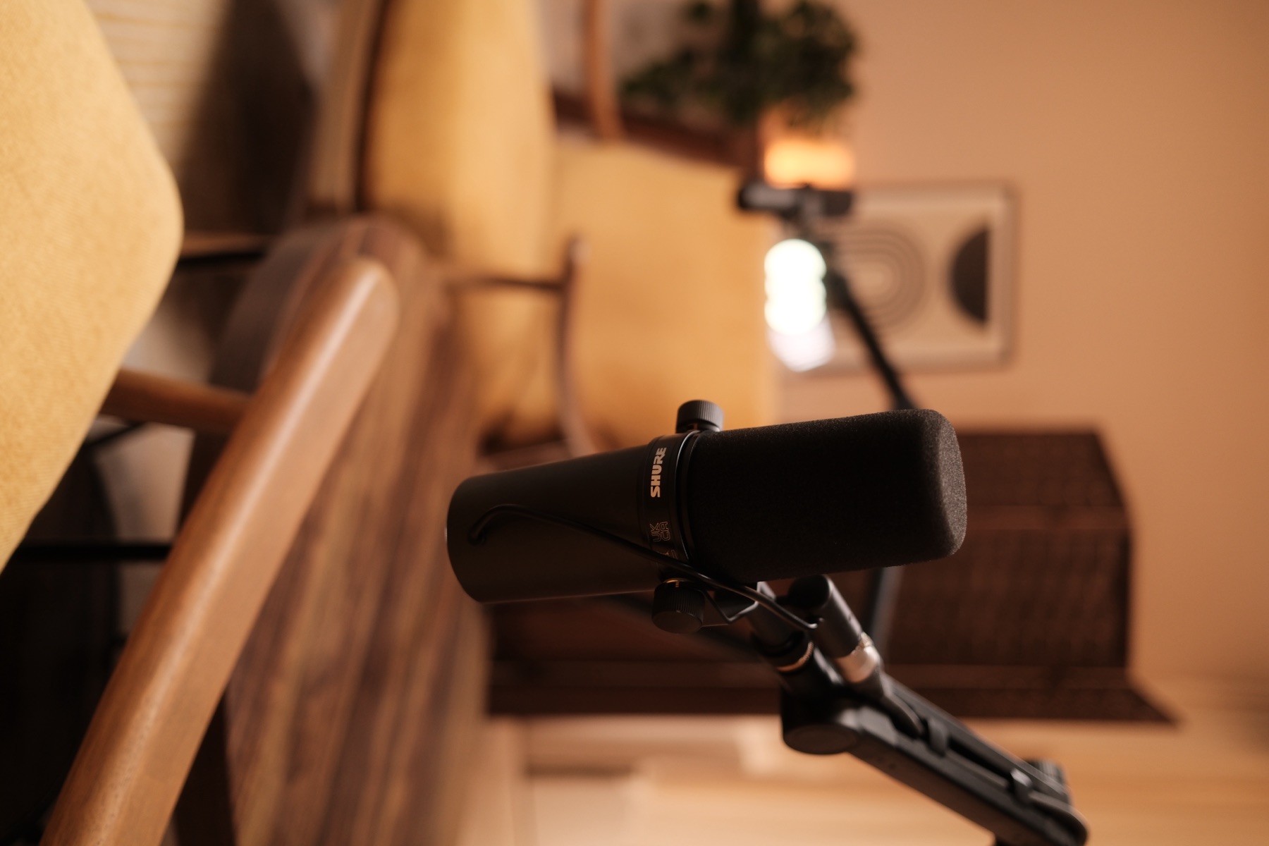 Close-up photograph of a microphone and boom arm.